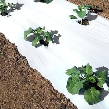 can silver metallic plastic mulch go in green houses|black plastic mulch for garden.